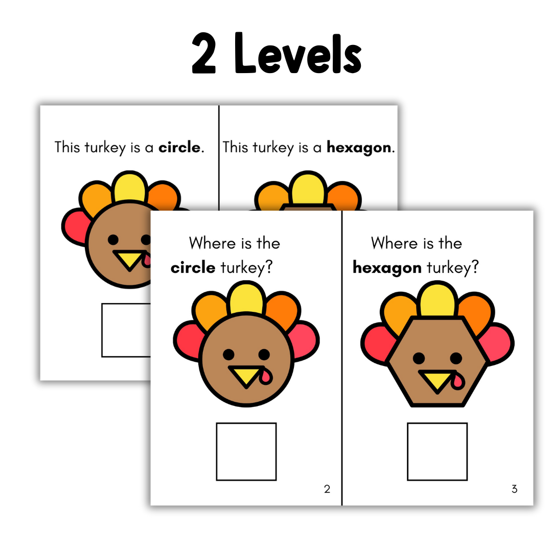 Adapted Books 2D Shapes Thanksgiving Themed